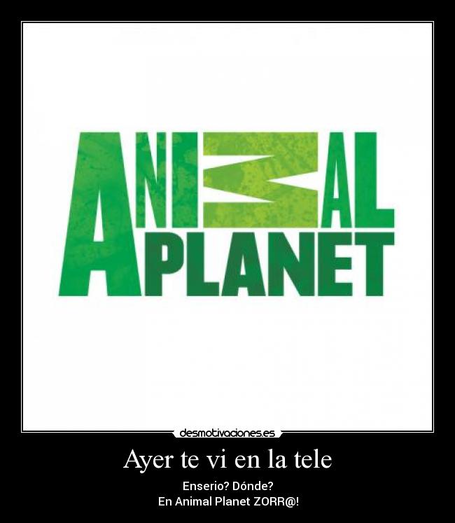 Ayer te vi en la tele -