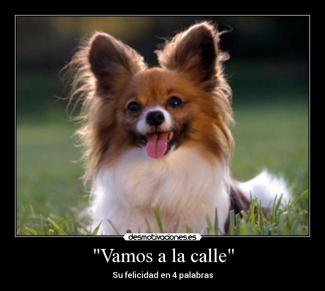 carteles perro felicidad calle feliz desmotivaciones