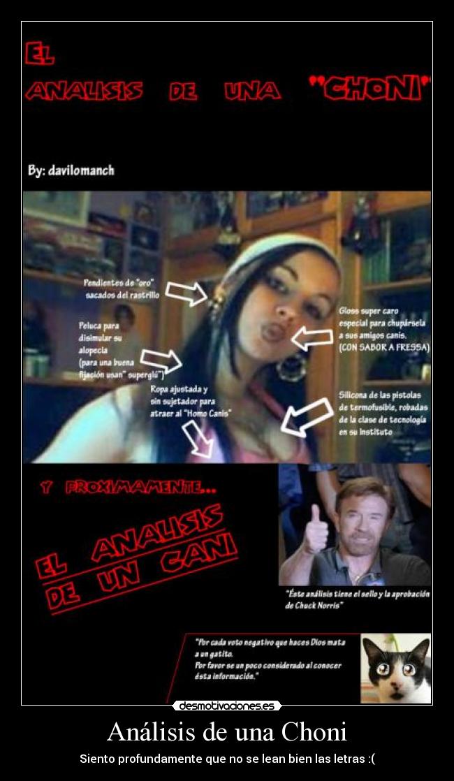 Análisis de una Choni - Siento profundamente que no se lean bien las letras :(
