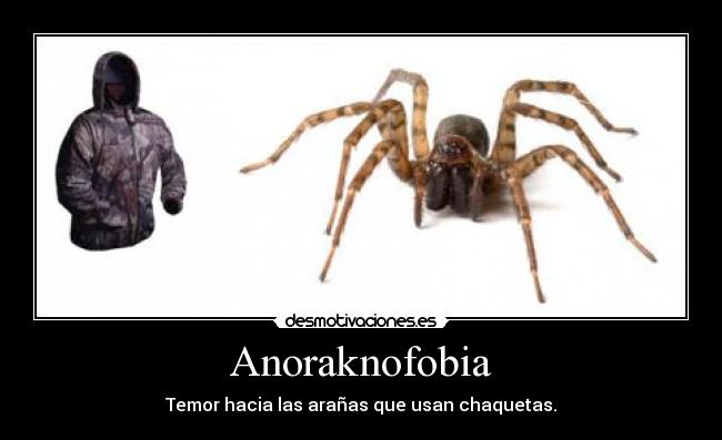 Anoraknofobia - 