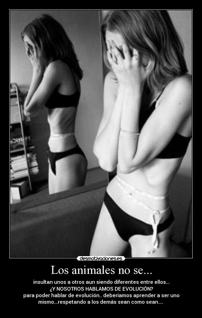 Los animales no se... -