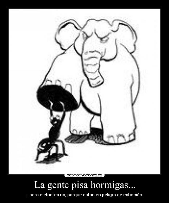 La gente pisa hormigas... - ...pero elefantes no, porque estan en peligro de extinción.