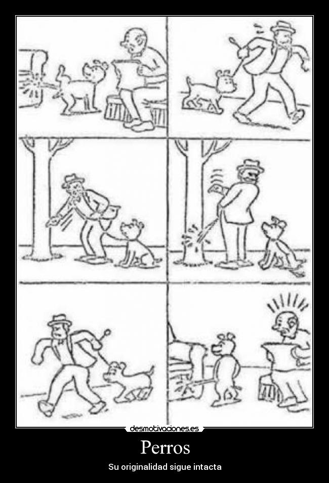 Perros -