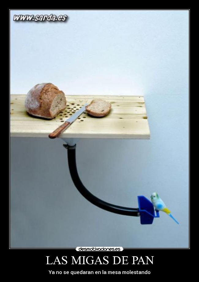 LAS MIGAS DE PAN - Ya no se quedaran en la mesa molestando