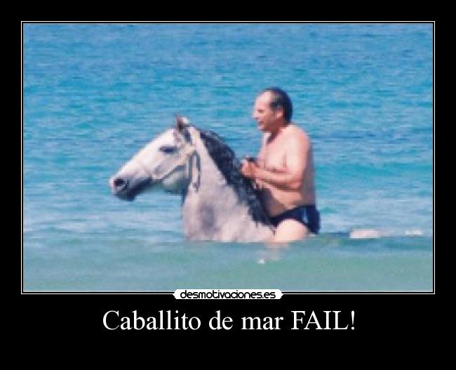 carteles fail caballito mar desmotivaciones