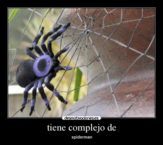 tiene complejo de - spiderman