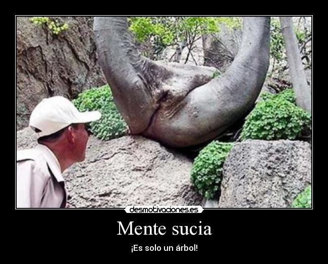 Mente sucia - ¡Es solo un árbol!