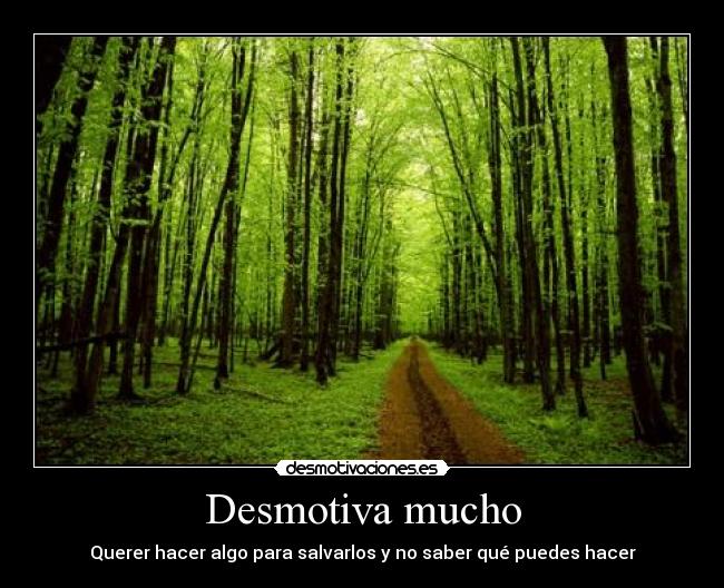 Desmotiva mucho -
