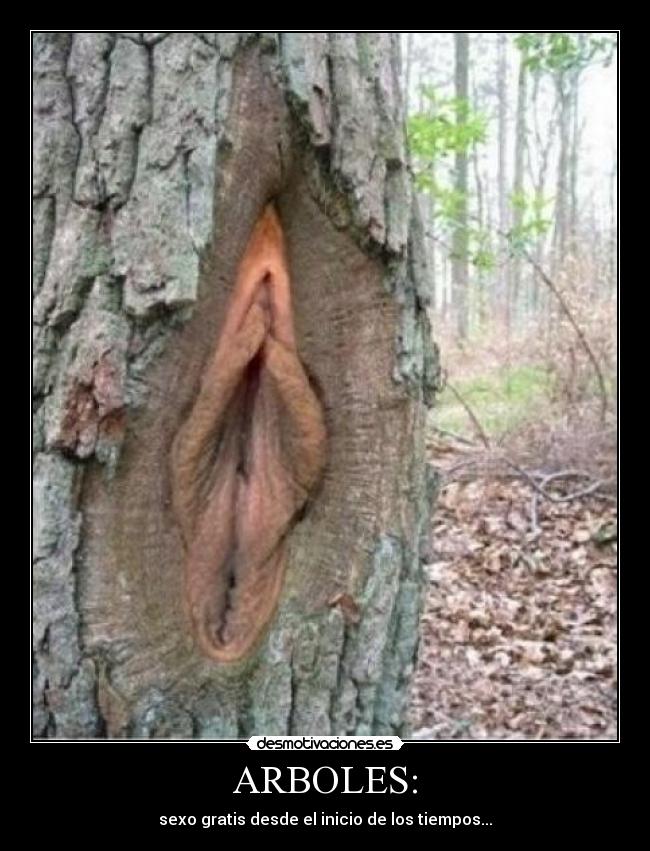 ARBOLES: - sexo gratis desde el inicio de los tiempos...