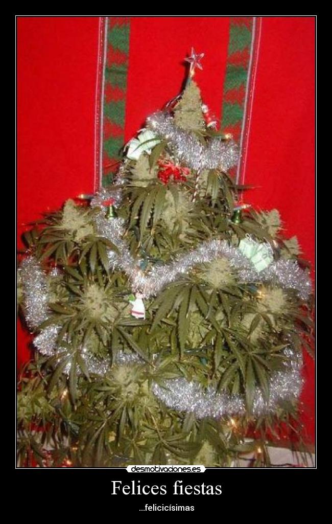 Felices fiestas - ...felicicísimas