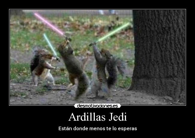 carteles ardillas jedi desmotivaciones