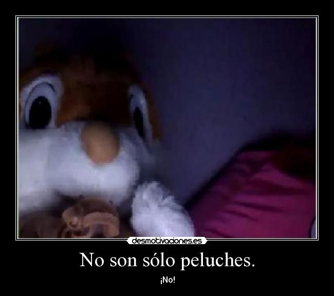 No son sólo peluches. -