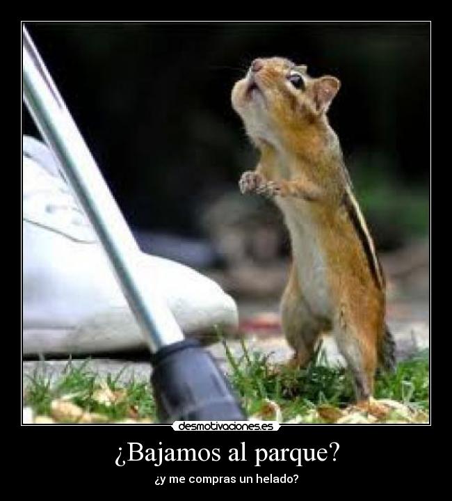¿Bajamos al parque? - ¿y me compras un helado?