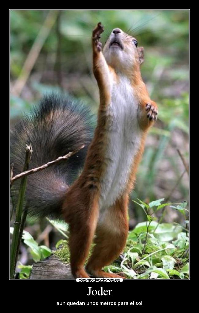 Joder -