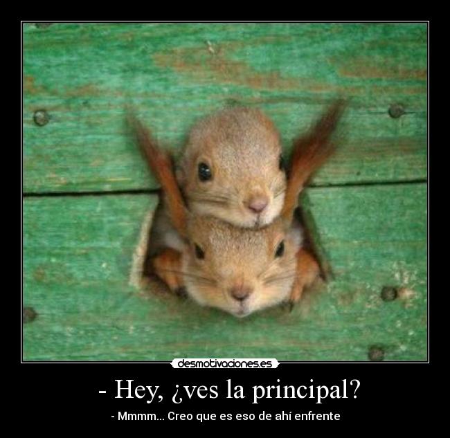 - Hey, ¿ves la principal? - - Mmmm... Creo que es eso de ahí enfrente