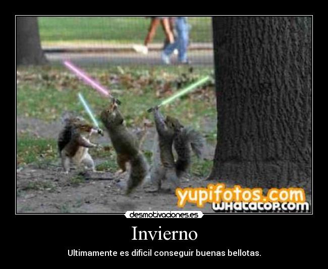 carteles ardillas star wars desmotivaciones