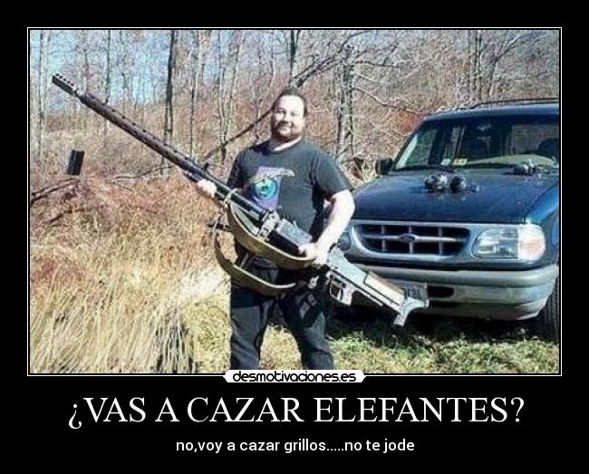 ¿VAS A CAZAR ELEFANTES? - 