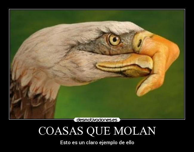 COASAS QUE MOLAN - 