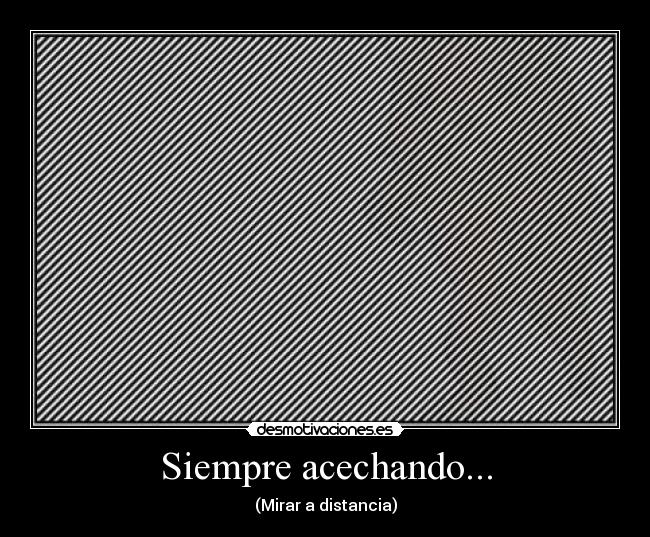 Siempre acechando... - 