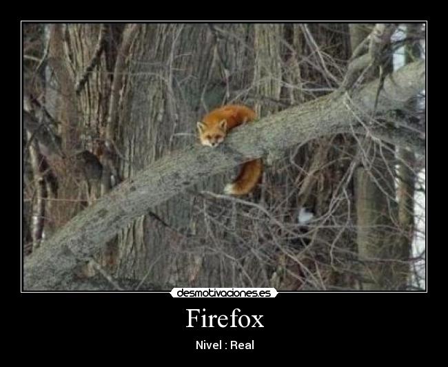 Firefox - Nivel : Real