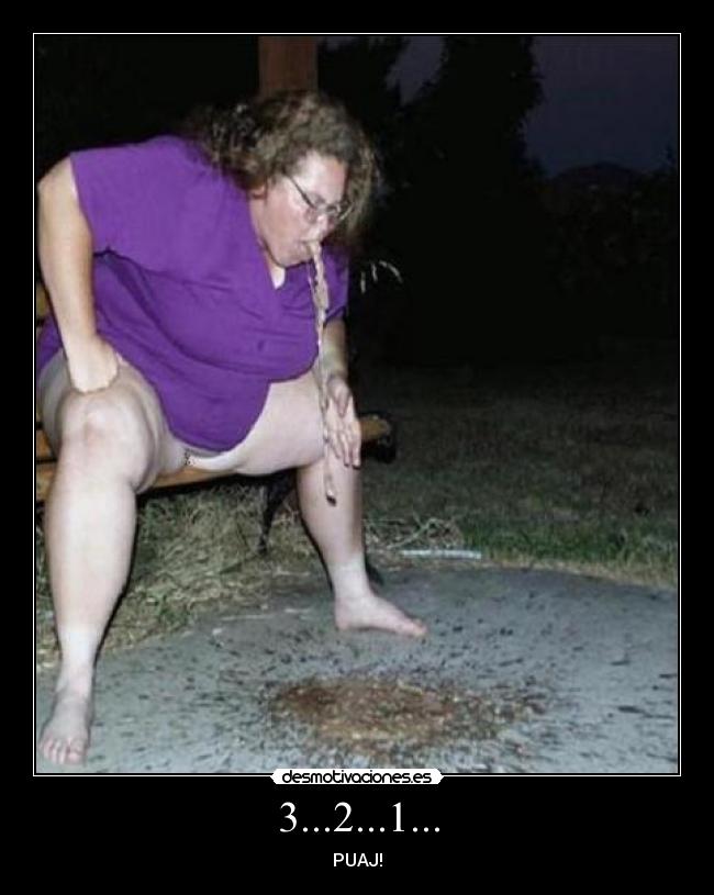 carteles gorda desmotivaciones