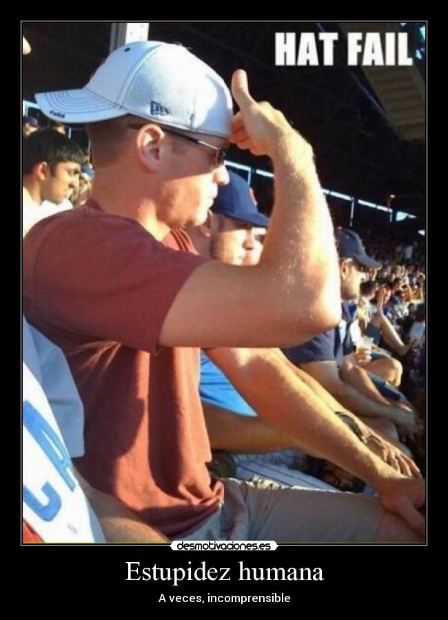 Estupidez humana - A veces, incomprensible