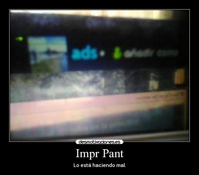 Impr Pant - 