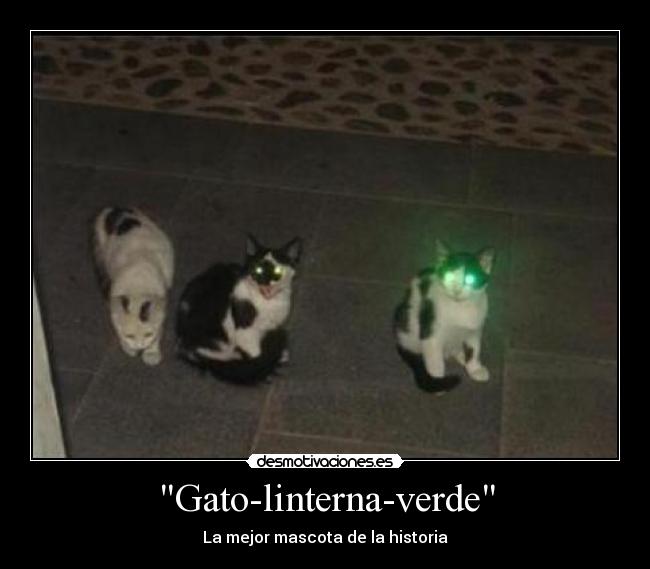 Gato-linterna-verde - La mejor mascota de la historia
