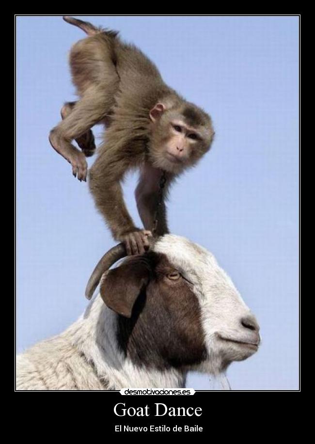 Goat Dance -