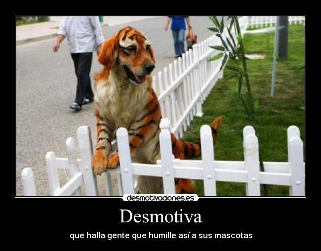 Desmotiva -