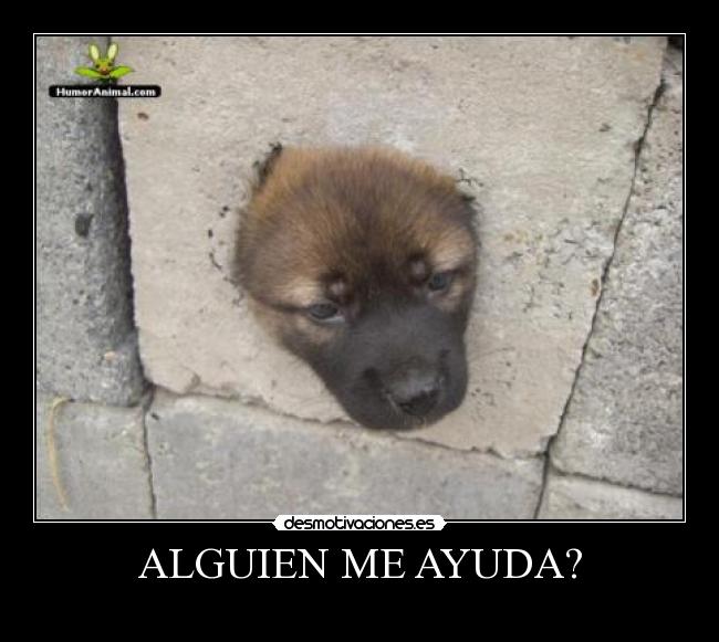 ALGUIEN ME AYUDA? - 