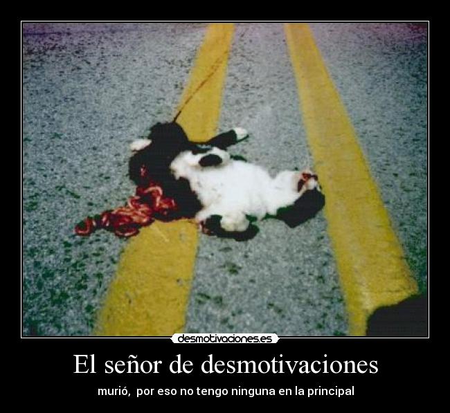 carteles desmotivaciones desmotivaciones