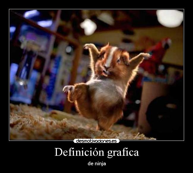 Definición grafica - 