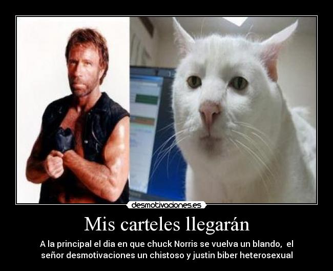 Mis carteles llegarán - A la principal el dia en que chuck Norris se vuelva un blando, el
señor desmotivaciones un chistoso y justin biber heterosexual