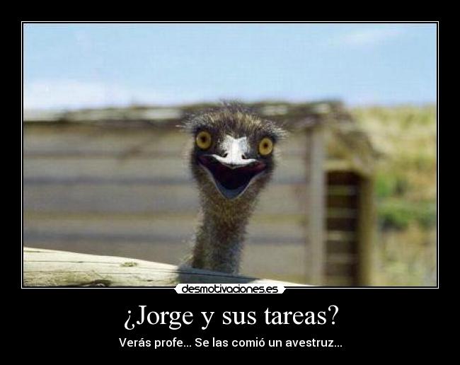 carteles mentiras animales desmotivaciones