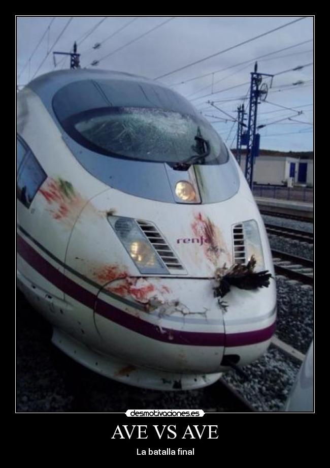 AVE VS AVE -