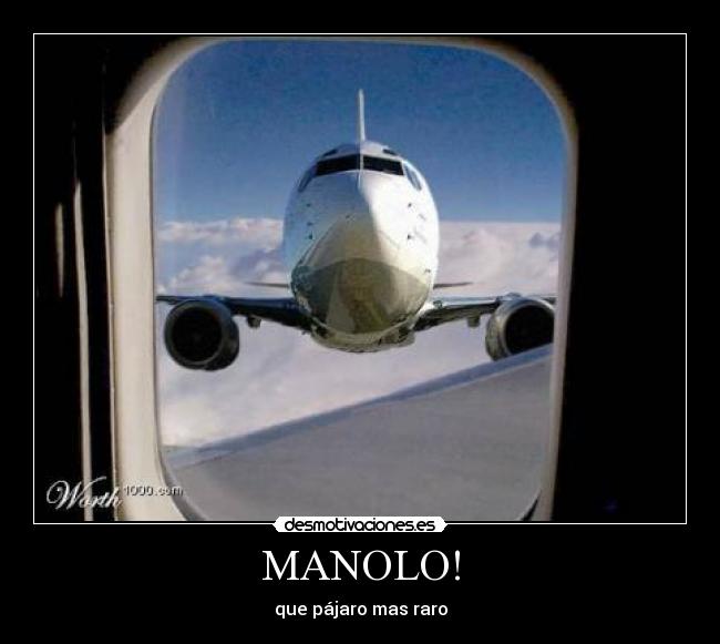 MANOLO! - 