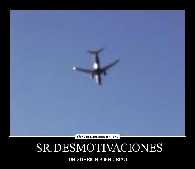 SR.DESMOTIVACIONES - UN GORRION BIIEN CRIAO