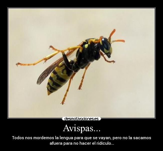 carteles hermano-de-cain desmotivaciones