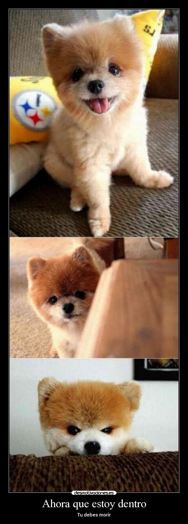 Ahora que estoy dentro - Tu debes morir