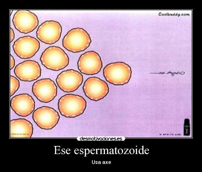 carteles desmotivaciones