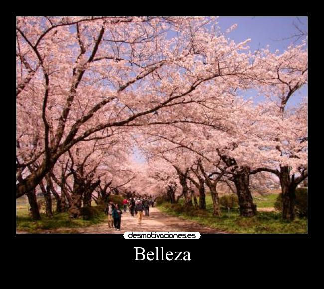 Belleza -