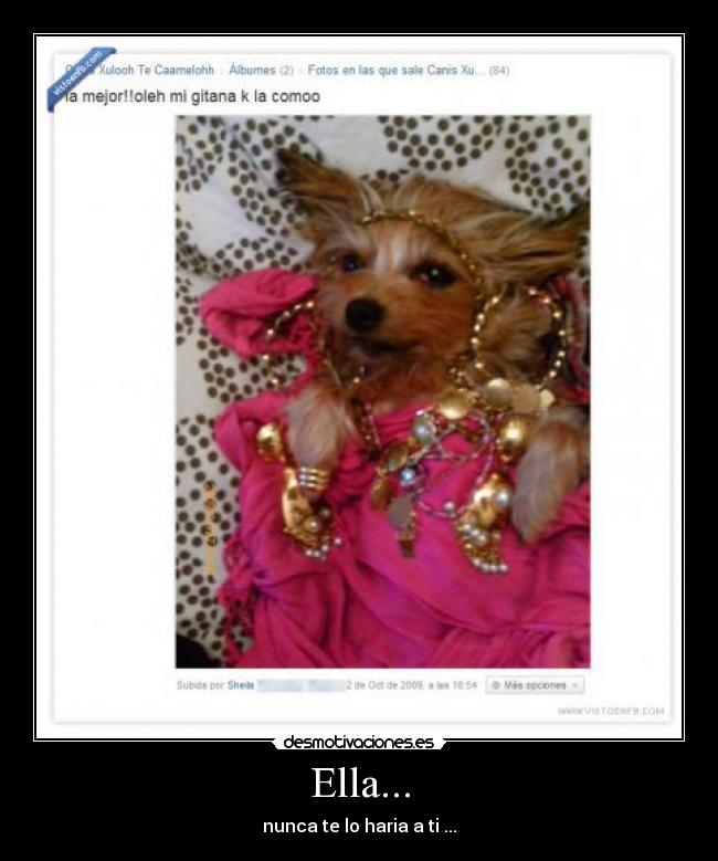 carteles cani desmotivaciones