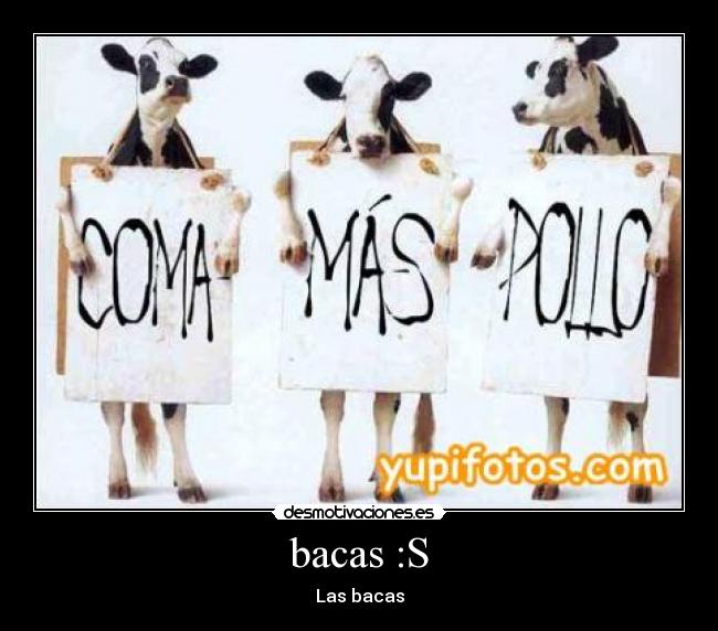 bacas :S - Las bacas