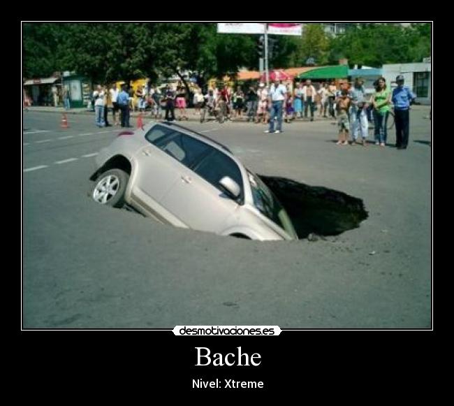 Bache -