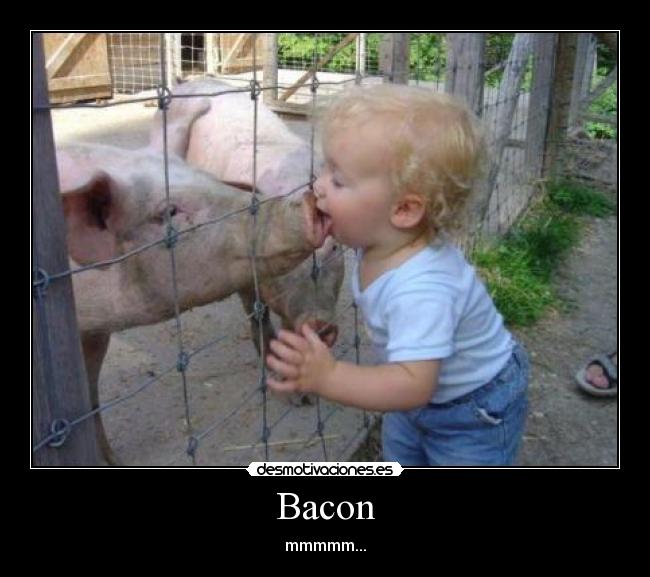 Bacon - mmmmm...
