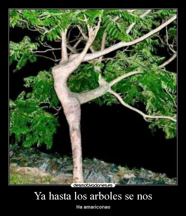 Ya hasta los arboles se nos - Ha amariconao