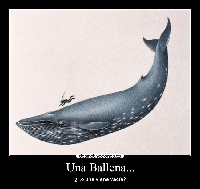 Una Ballena... -