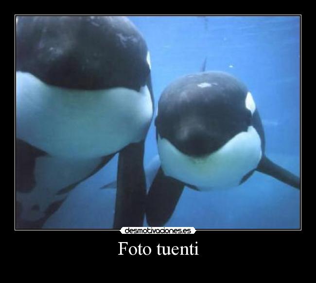 Foto tuenti - 