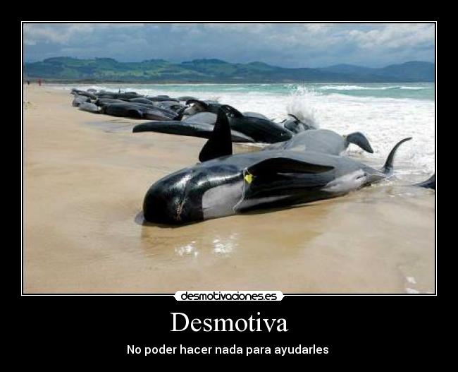 Desmotiva - No poder hacer nada para ayudarles 